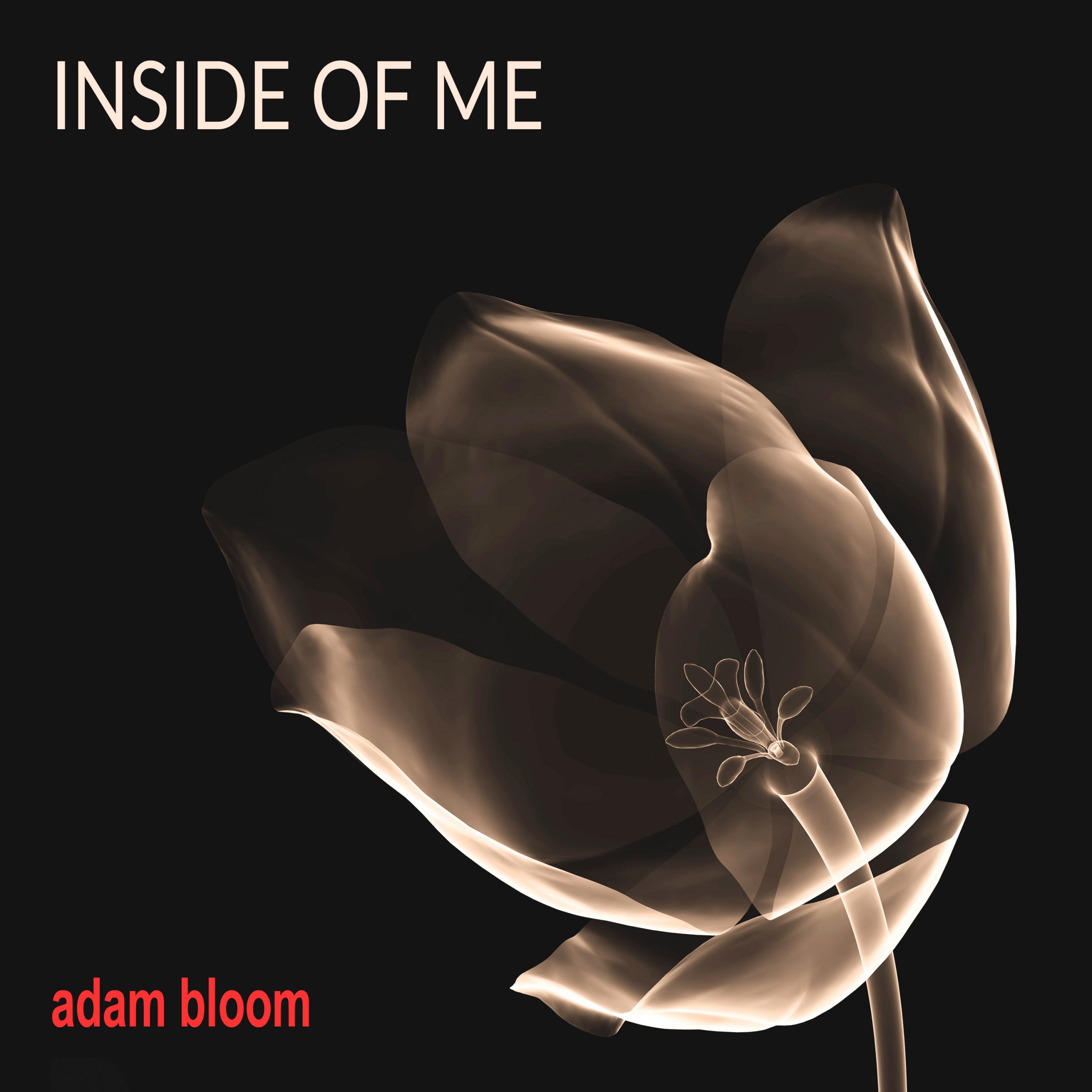 Inside of Me Available for Pre-Sale